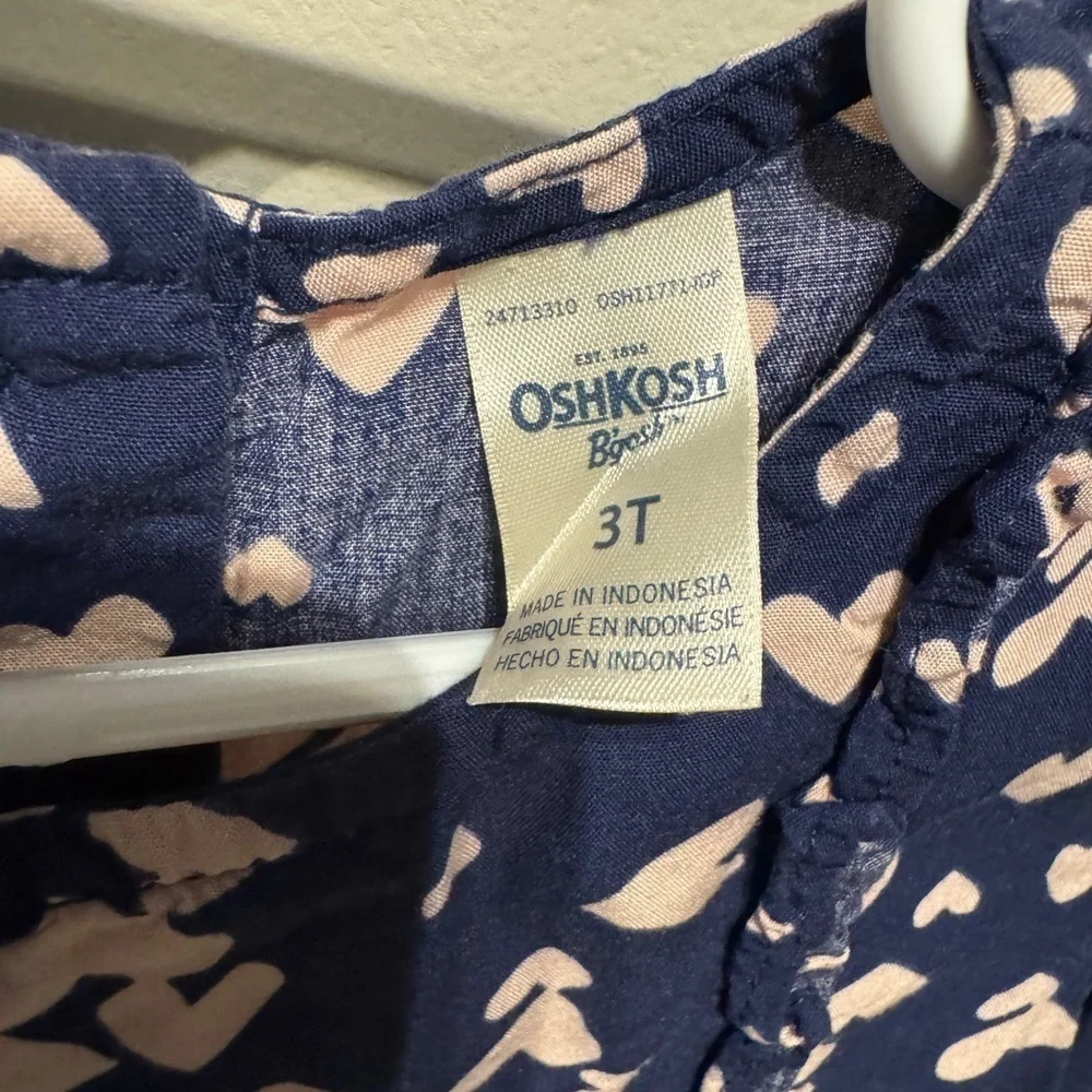 OshKosh B’gosh Girls Dress Bundle 2 Long Sleeve Dresses 3T Floral Hearts